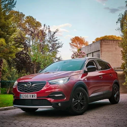 roberto-ladron-opel roberto-ladron-opel