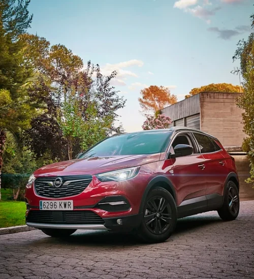 roberto-ladron-opel
